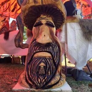 101 - Mushroom Man Gnome 4